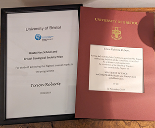 framed certificate and graduation programme